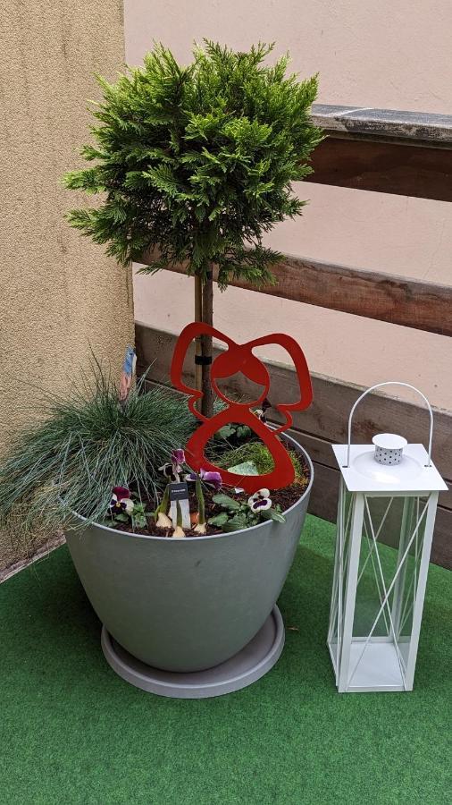Appartement Chez Mar'Tine Niederbronn-les-Bains Bagian luar foto